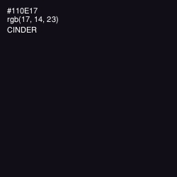 #110E17 - Cinder Color Image