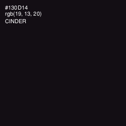 #130D14 - Cinder Color Image