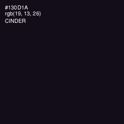 #130D1A - Cinder Color Image