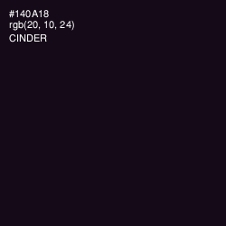 #140A18 - Cinder Color Image