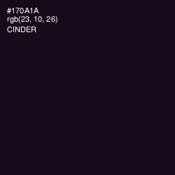 #170A1A - Cinder Color Image