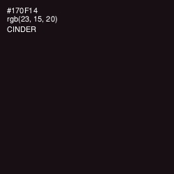 #170F14 - Cinder Color Image