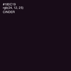 #180C19 - Cinder Color Image