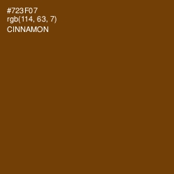 #723F07 - Cinnamon Color Image