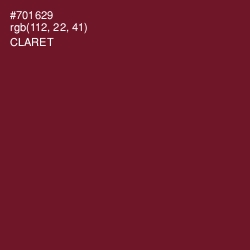 #701629 - Claret Color Image