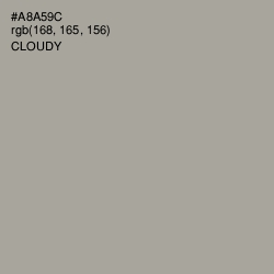 #A8A59C - Cloudy Color Image