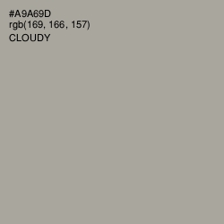 #A9A69D - Cloudy Color Image