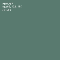 #597A6F - Como Color Image