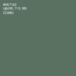 #5A7162 - Como Color Image