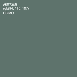 #5E736B - Como Color Image