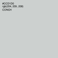 #CCD1D0 - Conch Color Image