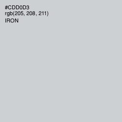#CDD0D3 - Conch Color Image