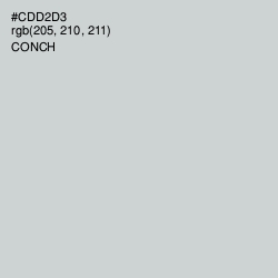 #CDD2D3 - Conch Color Image