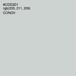 #CDD3D1 - Conch Color Image