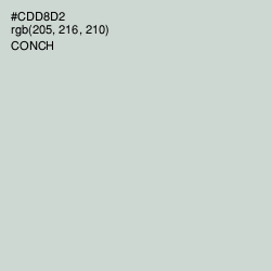 #CDD8D2 - Conch Color Image