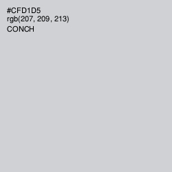 #CFD1D5 - Conch Color Image