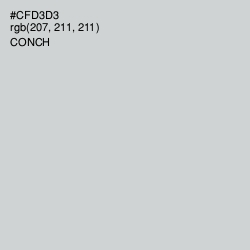 #CFD3D3 - Conch Color Image