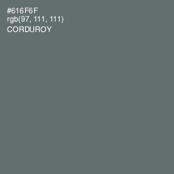 #616F6F - Corduroy Color Image