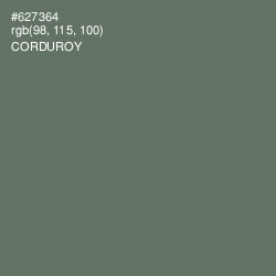 #627364 - Corduroy Color Image