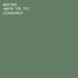 #637E65 - Corduroy Color Image
