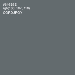 #646B6E - Corduroy Color Image