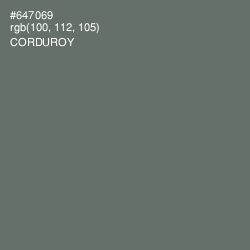 #647069 - Corduroy Color Image
