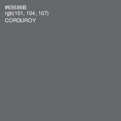 #65686B - Corduroy Color Image