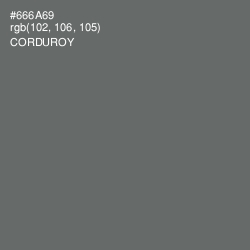 #666A69 - Corduroy Color Image