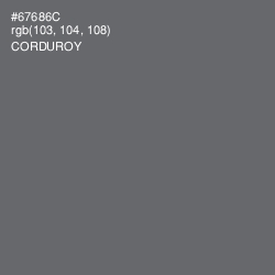 #67686C - Corduroy Color Image