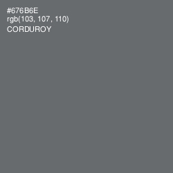 #676B6E - Corduroy Color Image