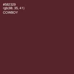 #582329 - Cowboy Color Image