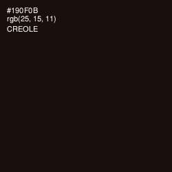 #190F0B - Creole Color Image