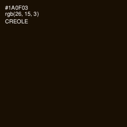 #1A0F03 - Creole Color Image