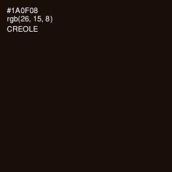 #1A0F08 - Creole Color Image