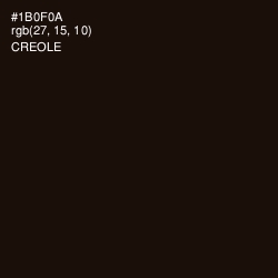 #1B0F0A - Creole Color Image