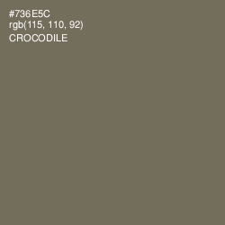 #736E5C - Crocodile Color Image