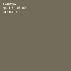 #746C5A - Crocodile Color Image