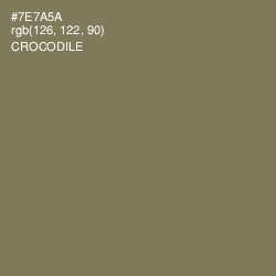 #7E7A5A - Crocodile Color Image