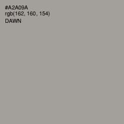 #A2A09A - Dawn Color Image