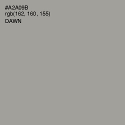 #A2A09B - Dawn Color Image