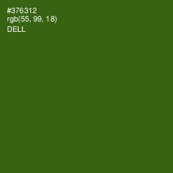#376312 - Dell Color Image