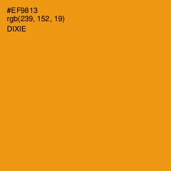#EF9813 - Dixie Color Image