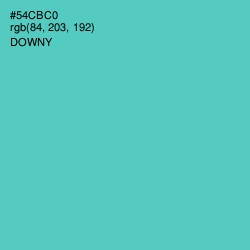 #54CBC0 - Downy Color Image