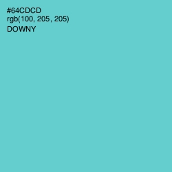 #64CDCD - Downy Color Image