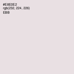 #E8E0E2 - Ebb Color Image