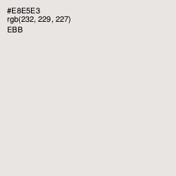 #E8E5E3 - Ebb Color Image