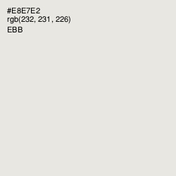 #E8E7E2 - Ebb Color Image