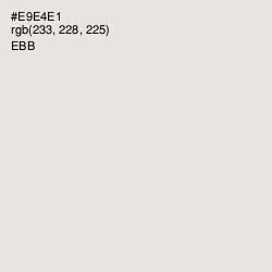 #E9E4E1 - Ebb Color Image
