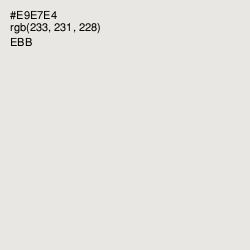 #E9E7E4 - Ebb Color Image