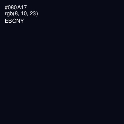#080A17 - Ebony Color Image